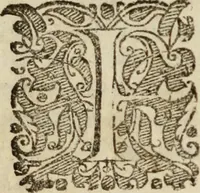 An illustration from Tesoro politico in cvi si contengono relationi : istruttioni, trattati, & varij discorsi, pertinenti alla perfetta intelligenza della ragion di stato. Et all'intiera cognitione de gl'interessi, & dipendenze de' più gran prencipi, & signori del mondo. Diviso in tre parti (1602)
