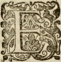An illustration from Tesoro politico in cvi si contengono relationi : istruttioni, trattati, & varij discorsi, pertinenti alla perfetta intelligenza della ragion di stato. Et all'intiera cognitione de gl'interessi, & dipendenze de' più gran prencipi, & signori del mondo. Diviso in tre parti (1602)
