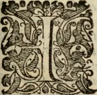 An illustration from Tesoro politico in cvi si contengono relationi : istruttioni, trattati, & varij discorsi, pertinenti alla perfetta intelligenza della ragion di stato. Et all'intiera cognitione de gl'interessi, & dipendenze de' più gran prencipi, & signori del mondo. Diviso in tre parti (1602)