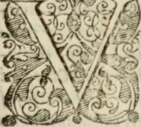 An illustration from Tesoro politico in cvi si contengono relationi : istruttioni, trattati, & varij discorsi, pertinenti alla perfetta intelligenza della ragion di stato. Et all'intiera cognitione de gl'interessi, & dipendenze de' più gran prencipi, & signori del mondo. Diviso in tre parti (1602)