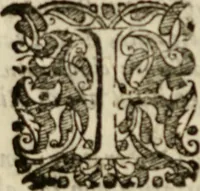 An illustration from Tesoro politico in cvi si contengono relationi : istruttioni, trattati, & varij discorsi, pertinenti alla perfetta intelligenza della ragion di stato. Et all'intiera cognitione de gl'interessi, & dipendenze de' più gran prencipi, & signori del mondo. Diviso in tre parti (1602)