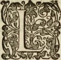An illustration from Tesoro politico in cvi si contengono relationi : istruttioni, trattati, & varij discorsi, pertinenti alla perfetta intelligenza della ragion di stato. Et all'intiera cognitione de gl'interessi, & dipendenze de' più gran prencipi, & signori del mondo. Diviso in tre parti (1602)