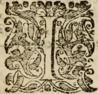 An illustration from Tesoro politico in cvi si contengono relationi : istruttioni, trattati, & varij discorsi, pertinenti alla perfetta intelligenza della ragion di stato. Et all'intiera cognitione de gl'interessi, & dipendenze de' più gran prencipi, & signori del mondo. Diviso in tre parti (1602)
