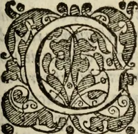 An illustration from Tesoro politico in cvi si contengono relationi : istruttioni, trattati, & varij discorsi, pertinenti alla perfetta intelligenza della ragion di stato. Et all'intiera cognitione de gl'interessi, & dipendenze de' più gran prencipi, & signori del mondo. Diviso in tre parti (1602)