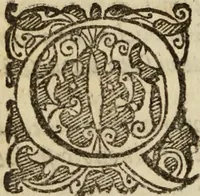 An illustration from Tesoro politico in cvi si contengono relationi : istruttioni, trattati, & varij discorsi, pertinenti alla perfetta intelligenza della ragion di stato. Et all'intiera cognitione de gl'interessi, & dipendenze de' più gran prencipi, & signori del mondo. Diviso in tre parti (1602)