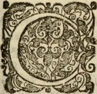 An illustration from Tesoro politico in cvi si contengono relationi : istruttioni, trattati, & varij discorsi, pertinenti alla perfetta intelligenza della ragion di stato. Et all'intiera cognitione de gl'interessi, & dipendenze de' più gran prencipi, & signori del mondo. Diviso in tre parti (1602)