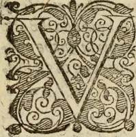 An illustration from Tesoro politico in cvi si contengono relationi : istruttioni, trattati, & varij discorsi, pertinenti alla perfetta intelligenza della ragion di stato. Et all'intiera cognitione de gl'interessi, & dipendenze de' più gran prencipi, & signori del mondo. Diviso in tre parti (1602)