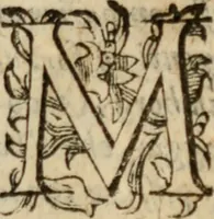 An illustration from Tesoro politico in cvi si contengono relationi : istruttioni, trattati, & varij discorsi, pertinenti alla perfetta intelligenza della ragion di stato. Et all'intiera cognitione de gl'interessi, & dipendenze de' più gran prencipi, & signori del mondo. Diviso in tre parti (1602)