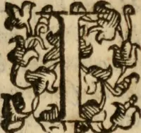 An illustration from Tesoro politico in cvi si contengono relationi : istruttioni, trattati, & varij discorsi, pertinenti alla perfetta intelligenza della ragion di stato. Et all'intiera cognitione de gl'interessi, & dipendenze de' più gran prencipi, & signori del mondo. Diviso in tre parti (1602)