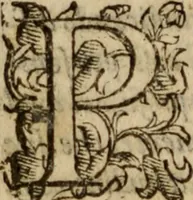 An illustration from Tesoro politico in cvi si contengono relationi : istruttioni, trattati, & varij discorsi, pertinenti alla perfetta intelligenza della ragion di stato. Et all'intiera cognitione de gl'interessi, & dipendenze de' più gran prencipi, & signori del mondo. Diviso in tre parti (1602)
