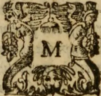An illustration from Tesoro politico in cvi si contengono relationi : istruttioni, trattati, & varij discorsi, pertinenti alla perfetta intelligenza della ragion di stato. Et all'intiera cognitione de gl'interessi, & dipendenze de' più gran prencipi, & signori del mondo. Diviso in tre parti (1602)