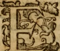 An illustration from Tesoro politico in cvi si contengono relationi : istruttioni, trattati, & varij discorsi, pertinenti alla perfetta intelligenza della ragion di stato. Et all'intiera cognitione de gl'interessi, & dipendenze de' più gran prencipi, & signori del mondo. Diviso in tre parti (1602)