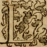 An illustration from Tesoro politico in cvi si contengono relationi : istruttioni, trattati, & varij discorsi, pertinenti alla perfetta intelligenza della ragion di stato. Et all'intiera cognitione de gl'interessi, & dipendenze de' più gran prencipi, & signori del mondo. Diviso in tre parti (1602)