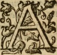 An illustration from Tesoro politico in cvi si contengono relationi : istruttioni, trattati, & varij discorsi, pertinenti alla perfetta intelligenza della ragion di stato. Et all'intiera cognitione de gl'interessi, & dipendenze de' più gran prencipi, & signori del mondo. Diviso in tre parti (1602)