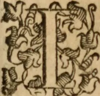 An illustration from Tesoro politico in cvi si contengono relationi : istruttioni, trattati, & varij discorsi, pertinenti alla perfetta intelligenza della ragion di stato. Et all'intiera cognitione de gl'interessi, & dipendenze de' più gran prencipi, & signori del mondo. Diviso in tre parti (1602)