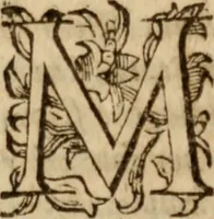 An illustration from Tesoro politico in cvi si contengono relationi : istruttioni, trattati, & varij discorsi, pertinenti alla perfetta intelligenza della ragion di stato. Et all'intiera cognitione de gl'interessi, & dipendenze de' più gran prencipi, & signori del mondo. Diviso in tre parti (1602)