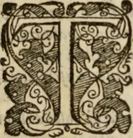 An illustration from Tesoro politico in cvi si contengono relationi : istruttioni, trattati, & varij discorsi, pertinenti alla perfetta intelligenza della ragion di stato. Et all'intiera cognitione de gl'interessi, & dipendenze de' più gran prencipi, & signori del mondo. Diviso in tre parti (1602)