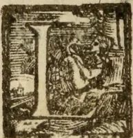 An illustration from Tesoro politico in cvi si contengono relationi : istruttioni, trattati, & varij discorsi, pertinenti alla perfetta intelligenza della ragion di stato. Et all'intiera cognitione de gl'interessi, & dipendenze de' più gran prencipi, & signori del mondo. Diviso in tre parti (1602)