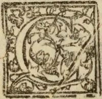 An illustration from Tesoro politico in cvi si contengono relationi : istruttioni, trattati, & varij discorsi, pertinenti alla perfetta intelligenza della ragion di stato. Et all'intiera cognitione de gl'interessi, & dipendenze de' più gran prencipi, & signori del mondo. Diviso in tre parti (1602)