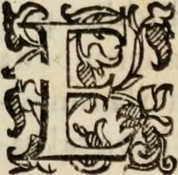 An illustration from Tesoro politico in cvi si contengono relationi : istruttioni, trattati, & varij discorsi, pertinenti alla perfetta intelligenza della ragion di stato. Et all'intiera cognitione de gl'interessi, & dipendenze de' più gran prencipi, & signori del mondo. Diviso in tre parti (1602)