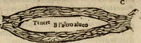 Picture 45 of 54 from Tesoro politico in cvi si contengono relationi : istruttioni, trattati, & varij discorsi, pertinenti alla perfetta intelligenza della ragion di stato. Et all'intiera cognitione de gl'interessi, & dipendenze de' più gran prencipi, & signori del mondo. Diviso in tre parti (1602), leaf 512