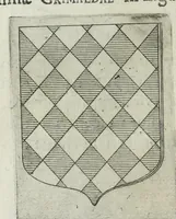 Picture 58 of 198 from Tesserae gentilitiae (1638), leaf 232