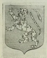 Picture 88 of 198 from Tesserae gentilitiae (1638), leaf 335