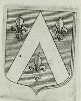 Picture 145 of 198 from Tesserae gentilitiae (1638), leaf 493