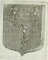 Picture 149 of 198 from Tesserae gentilitiae (1638), leaf 501