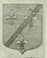Picture 182 of 198 from Tesserae gentilitiae (1638), leaf 598