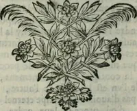 An illustration from Testament, ov conseils fideles d'vn bon pere à ses enfans (1661)