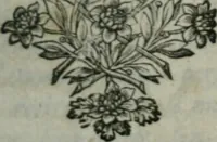 Picture 1 of 5 from Testament, ov conseils fideles d'vn bon pere à ses enfans (1661), leaf 6