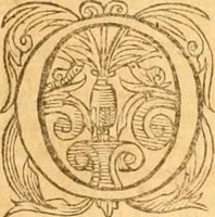 An illustration from Testamentvm Novvm : sive nouum foedus Iesu Christi, D.N. Cuius Graeco contextui respondent interpretationes duae: vna, vetus altera, Theodori Bezae, nunc quartò diligenter ab eo recognita. Eiusdem annotationes, quas itidem hac quarta edit. accuratè recognouit, & accessione non parua locupletauit: Vt docebunt asterisci margini appositi, necnon eius ad lectorem epistolium. Haec quarta editio, propter accessiones non paucas, duos indices nouos habet: quorum prior priori parti, posterior posteriori subiunctus est. Seorsvm edetvr recensio earundem in diuersis Noui Testamenti locis vocum (vulgò concordantiae Novi Testamenti) cui etiam operam multum lectori profuturam idem Theodorus Beza & quidam alij impenderunt (1588)