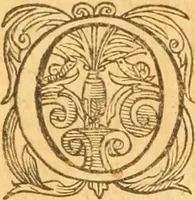An illustration from Testamentvm Novvm : sive nouum foedus Iesu Christi, D.N. Cuius Graeco contextui respondent interpretationes duae: vna, vetus altera, Theodori Bezae, nunc quartò diligenter ab eo recognita. Eiusdem annotationes, quas itidem hac quarta edit. accuratè recognouit, & accessione non parua locupletauit: Vt docebunt asterisci margini appositi, necnon eius ad lectorem epistolium. Haec quarta editio, propter accessiones non paucas, duos indices nouos habet: quorum prior priori parti, posterior posteriori subiunctus est. Seorsvm edetvr recensio earundem in diuersis Noui Testamenti locis vocum (vulgò concordantiae Novi Testamenti) cui etiam operam multum lectori profuturam idem Theodorus Beza & quidam alij impenderunt (1588)