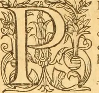 An illustration from Testamentvm Novvm : sive nouum foedus Iesu Christi, D.N. Cuius Graeco contextui respondent interpretationes duae: vna, vetus altera, Theodori Bezae, nunc quartò diligenter ab eo recognita. Eiusdem annotationes, quas itidem hac quarta edit. accuratè recognouit, & accessione non parua locupletauit: Vt docebunt asterisci margini appositi, necnon eius ad lectorem epistolium. Haec quarta editio, propter accessiones non paucas, duos indices nouos habet: quorum prior priori parti, posterior posteriori subiunctus est. Seorsvm edetvr recensio earundem in diuersis Noui Testamenti locis vocum (vulgò concordantiae Novi Testamenti) cui etiam operam multum lectori profuturam idem Theodorus Beza & quidam alij impenderunt (1588)