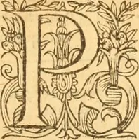 An illustration from Testamentvm Novvm : sive nouum foedus Iesu Christi, D.N. Cuius Graeco contextui respondent interpretationes duae: vna, vetus altera, Theodori Bezae, nunc quartò diligenter ab eo recognita. Eiusdem annotationes, quas itidem hac quarta edit. accuratè recognouit, & accessione non parua locupletauit: Vt docebunt asterisci margini appositi, necnon eius ad lectorem epistolium. Haec quarta editio, propter accessiones non paucas, duos indices nouos habet: quorum prior priori parti, posterior posteriori subiunctus est. Seorsvm edetvr recensio earundem in diuersis Noui Testamenti locis vocum (vulgò concordantiae Novi Testamenti) cui etiam operam multum lectori profuturam idem Theodorus Beza & quidam alij impenderunt (1588)