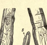 An illustration from The technical testing of yarns and textile fabrics : with reference to official specifications (1898)