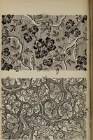 An illustration from A text book dealing with ornamental design for woven fabrics (1897)
