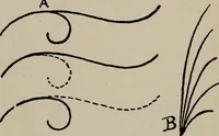An illustration from A text book dealing with ornamental design for woven fabrics (1897)
