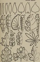 An illustration from A text book dealing with ornamental design for woven fabrics (1897)