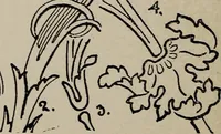 An illustration from A text book dealing with ornamental design for woven fabrics (1897)