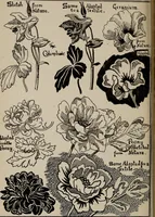 An illustration from A text book dealing with ornamental design for woven fabrics (1897)