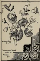 An illustration from A text book dealing with ornamental design for woven fabrics (1897)