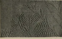 An illustration from A text book dealing with ornamental design for woven fabrics (1897)