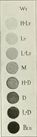 Picture 73 of 95 from A text-book of design (1912), leaf 115