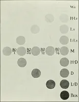 Picture 85 of 95 from A text-book of design (1912), leaf 126