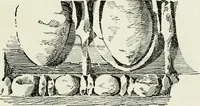 Picture 2 of 95 from A text-book of design (1912), leaf 22