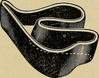 An illustration from A text-book of diseases of the nose and throat (1904)