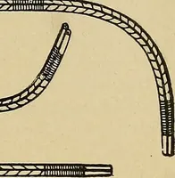 An illustration from A text-book of diseases of the nose and throat (1904)