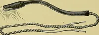 An illustration from A text-book of diseases of the nose and throat (1904)